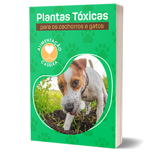 eBook Plantas Tóxicas para Cães e Gatos